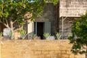 Incantevole masseria del 1600 immersa negli ulivi, in vendita, Carpignano Salentino | Sotheby’s Realty Italy - 24