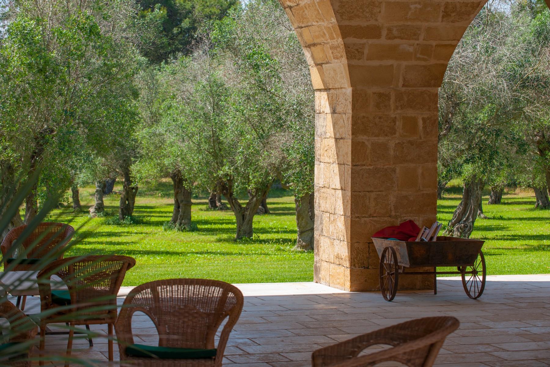 Enchanting 15th century-farmhouse immersed in olive trees - 5