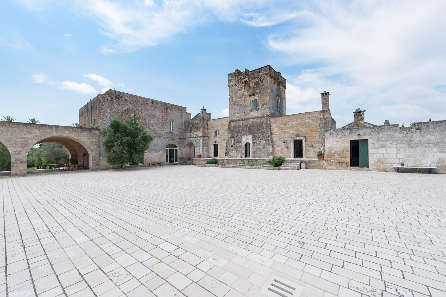 Enchanting 15th century-farmhouse immersed in olive trees - 19