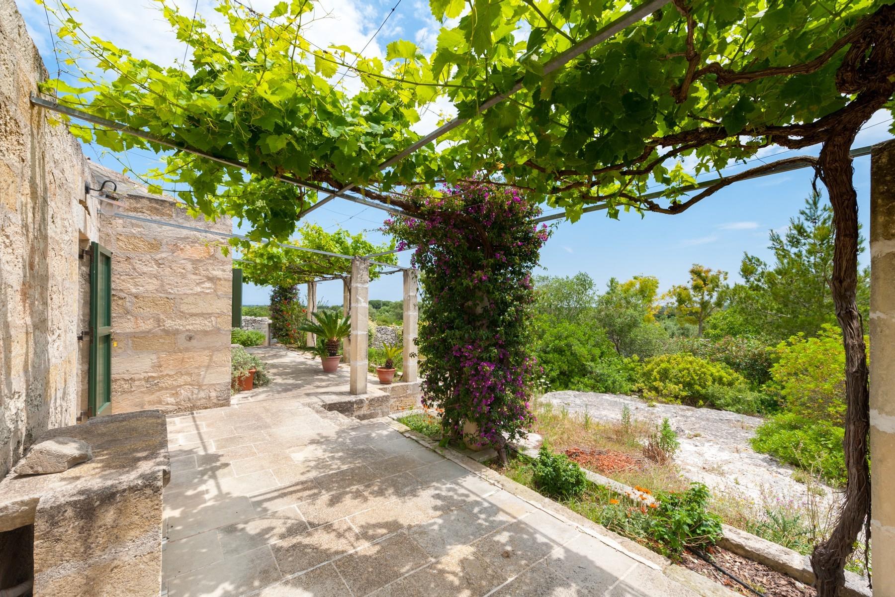 Enchanting 15th century-farmhouse immersed in olive trees - 16