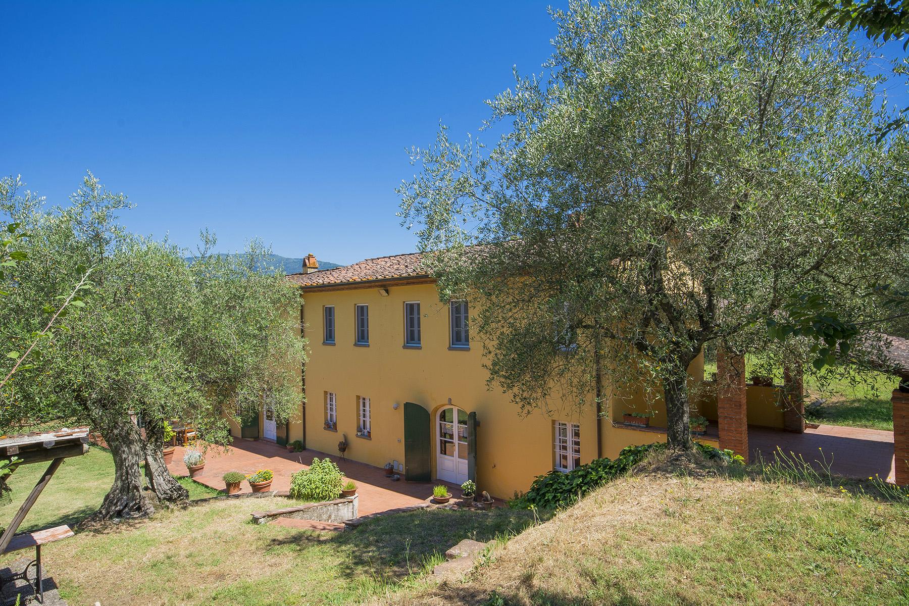 Schönes Bauernhaus auf den Hügeln von Lucca - 30