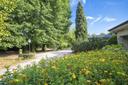Villa in vendita nella campagna lucchese, in vendita, Capannori | Sotheby’s Realty Italy - 4