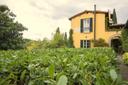 Magnifica villa di grande fascino vicina al centro di Firenze, in vendita, Firenze | Sotheby’s Realty Italy - 5