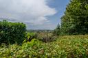 Affascinante casale nel Monferrato, in vendita, Conzano | Sotheby’s Realty Italy - 25