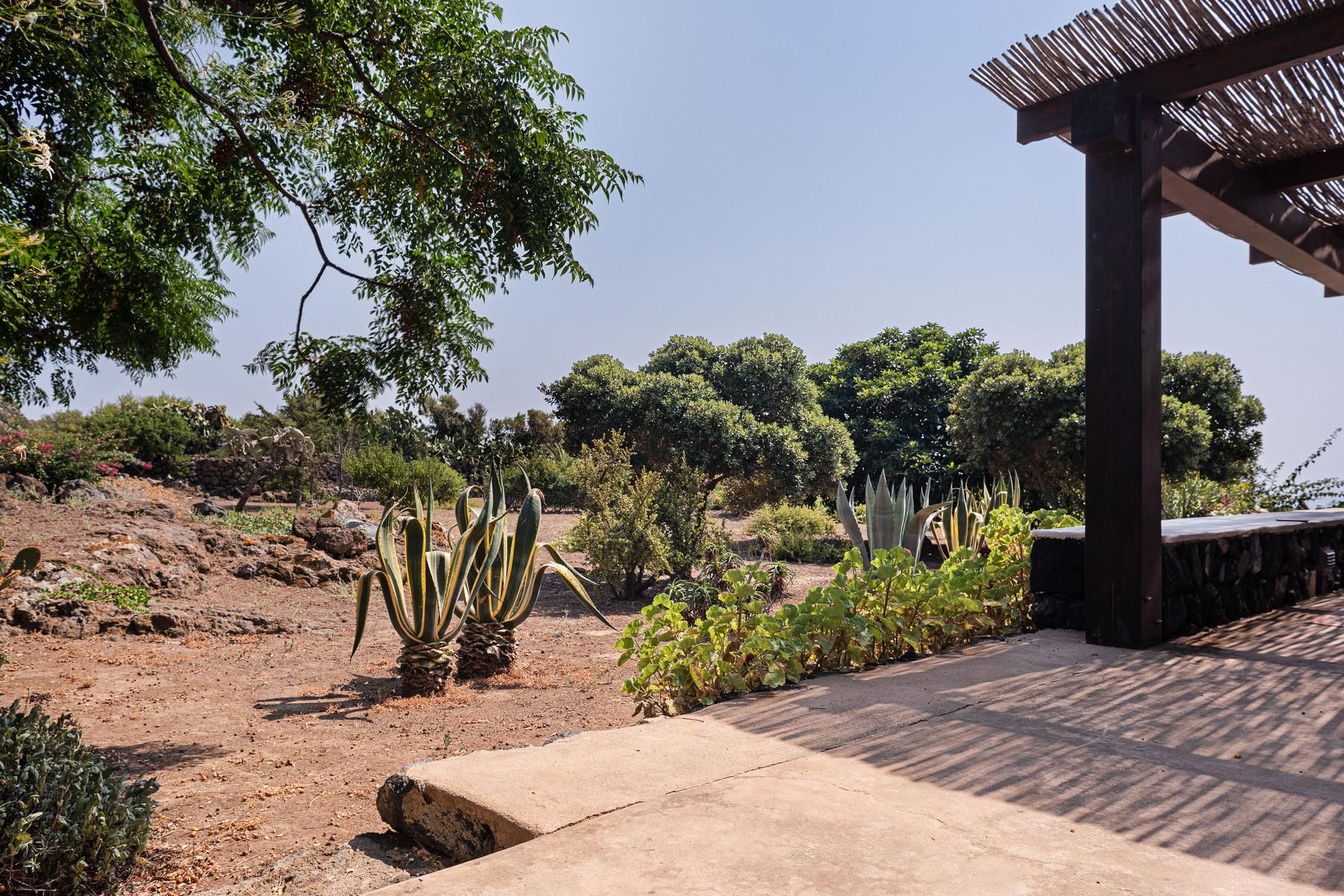 Ancient Dammuso surrounded by nature in Pantelleria - 13