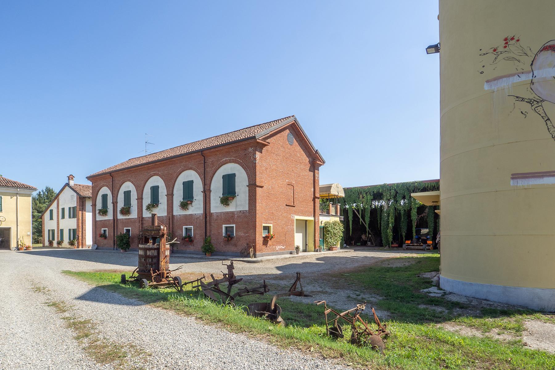 Wonderful estate in Monferrato region - 3