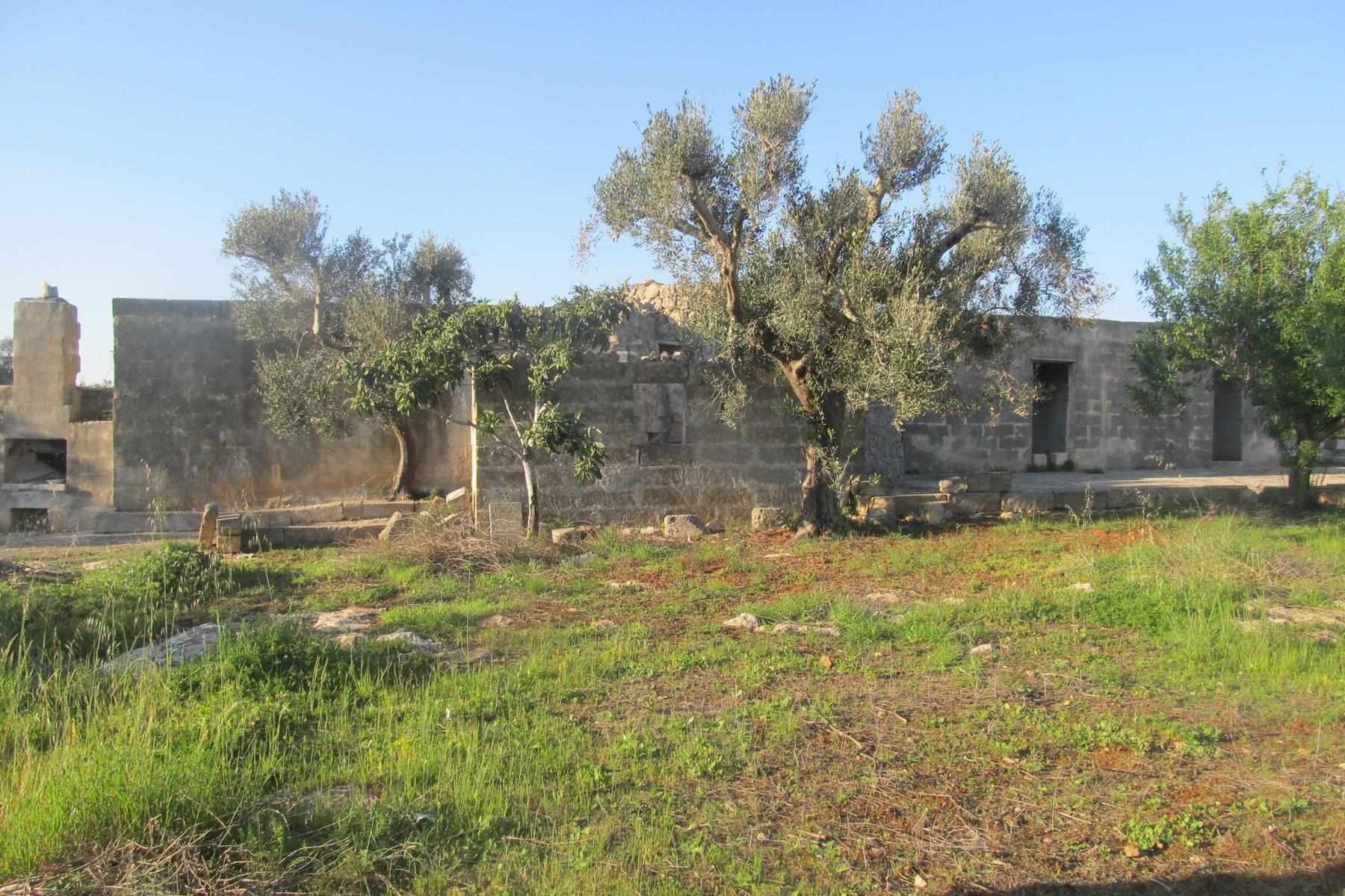 Maison de campagne avec terres et oliveraie - 2