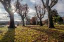 Elegante villa con giardino privato, in vendita, Rosta | Sotheby’s Realty Italy - 18
