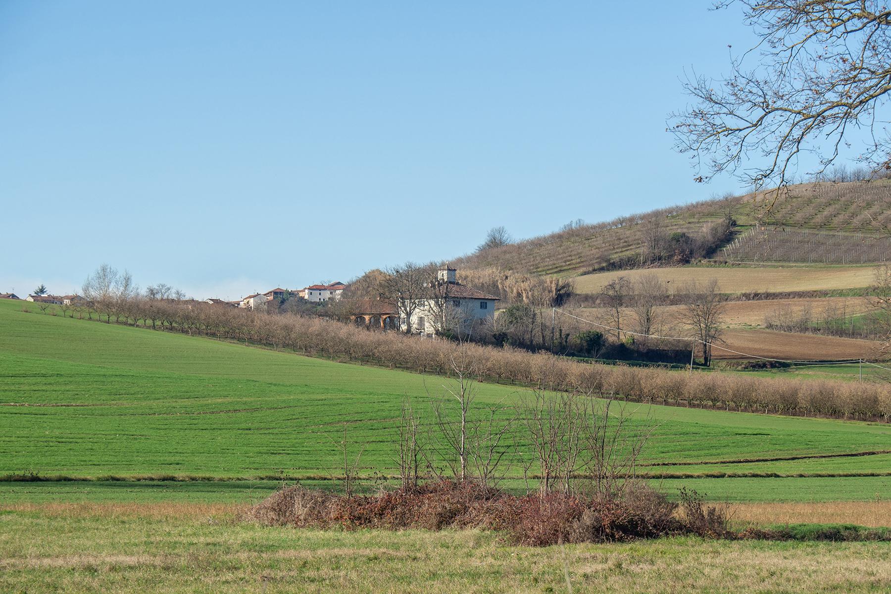 Magnifique domaine niché dans le vert des collines de Monferrato - 39
