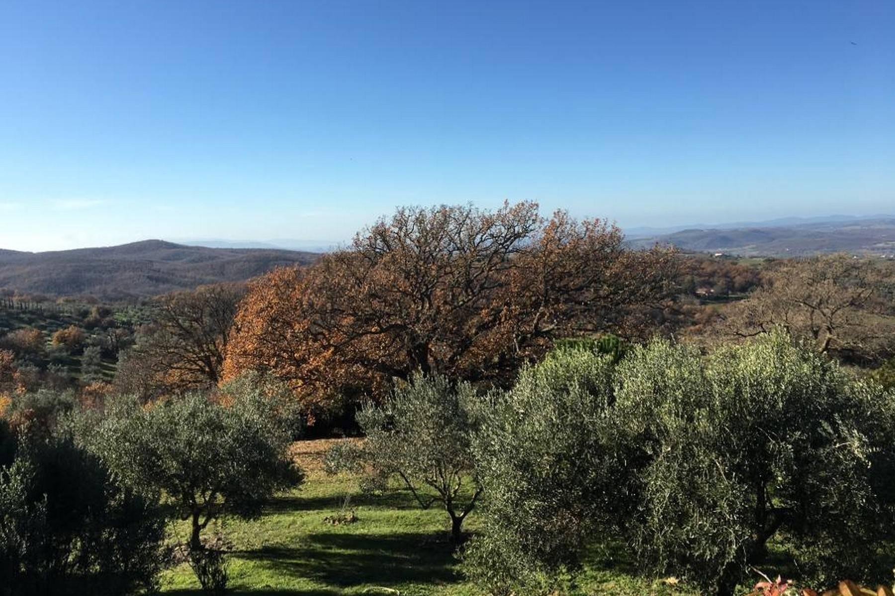 Tuscan detached-house close to Montemerano - 20
