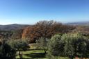 Tipica casa indipendente a pochi passi da Montemerano, in vendita, Manciano | Sotheby’s Realty Italy - 20