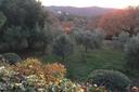 Tipica casa indipendente a pochi passi da Montemerano, in vendita, Manciano | Sotheby’s Realty Italy - 19