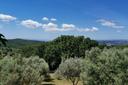 Tipica casa indipendente a pochi passi da Montemerano, in vendita, Manciano | Sotheby’s Realty Italy - 21