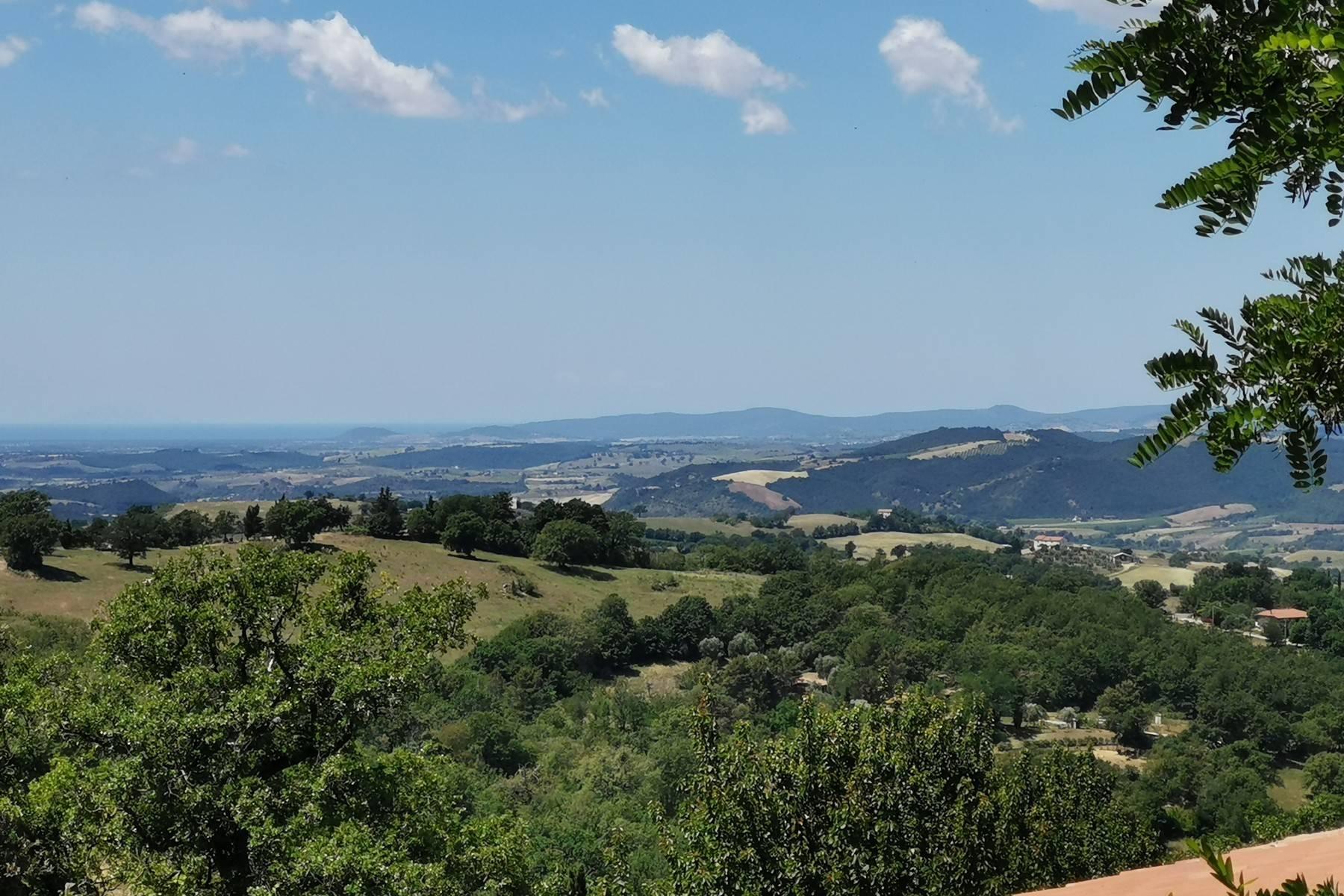 Tuscan detached-house close to Montemerano - 13