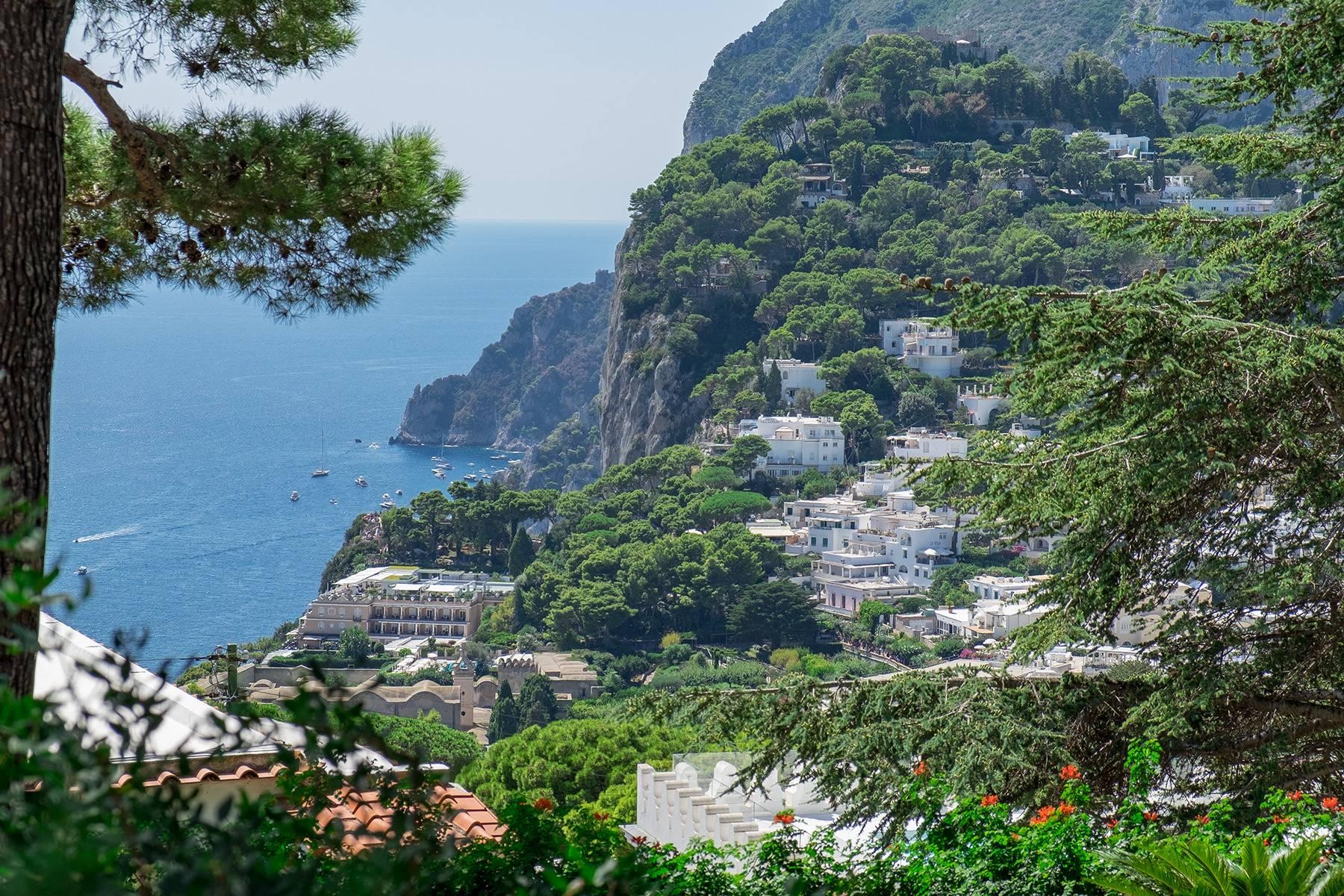 Magnifica villa nel cuore di Capri - 3
