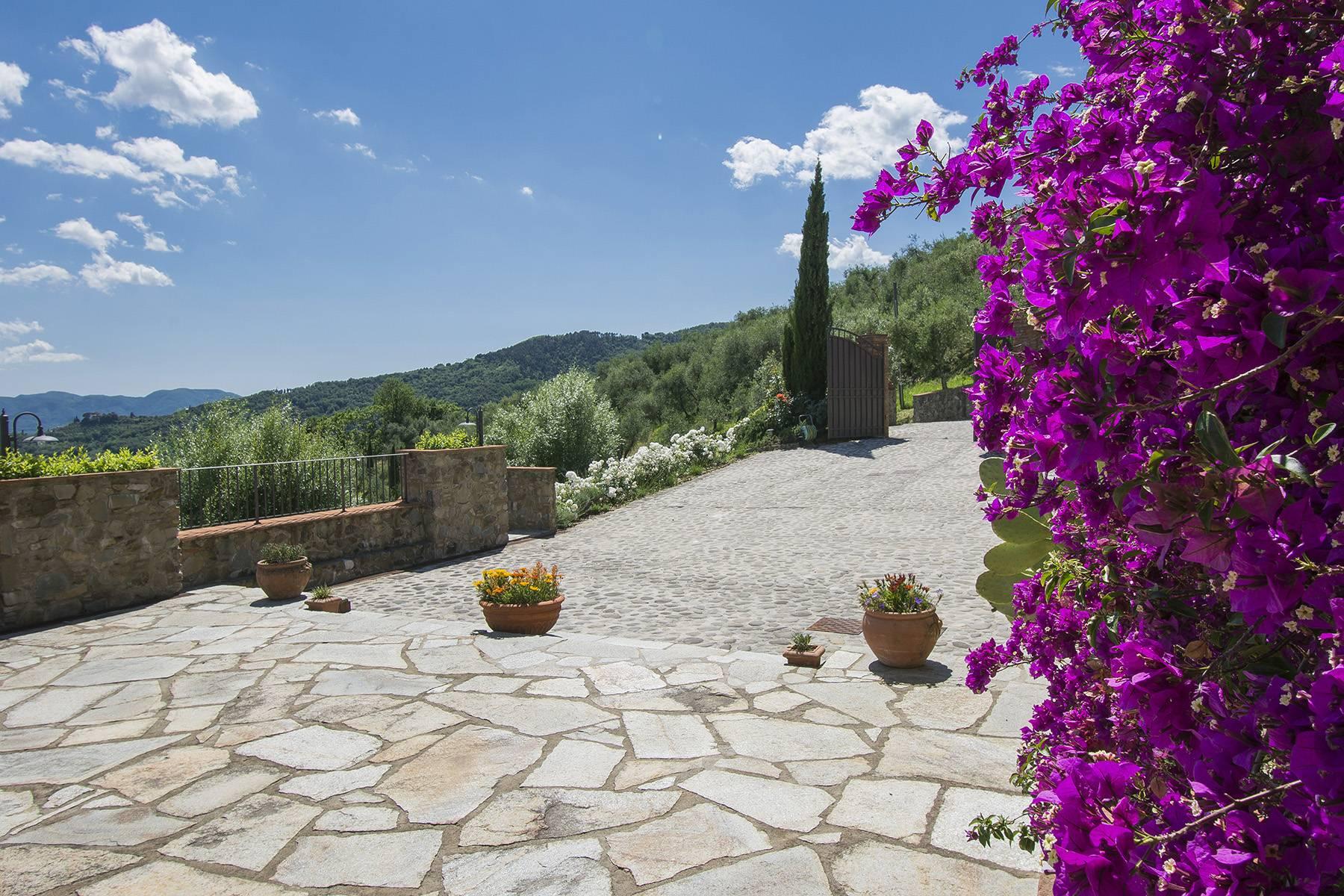Superbe villa de campagne sur les collines de Lucca avec vignoble - 14