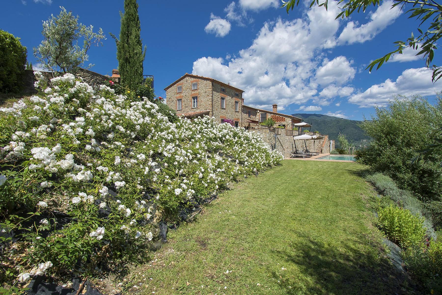 Superbe villa de campagne sur les collines de Lucca avec vignoble - 2