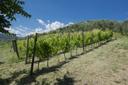 Splendida casa colonica sulle colline Lucchesi, in vendita, Lucca | Sotheby’s Realty Italy - 12