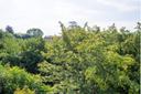 Villa storica con vista panoramica su Torino, in vendita, Torino | Sotheby’s Realty Italy - 15