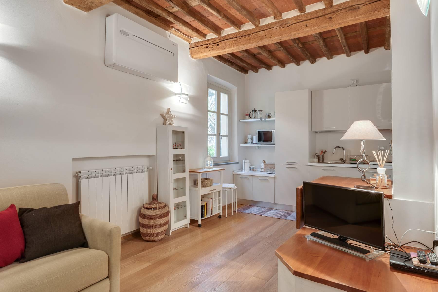 Beautiful apartment in the historic center of Lucca - 12