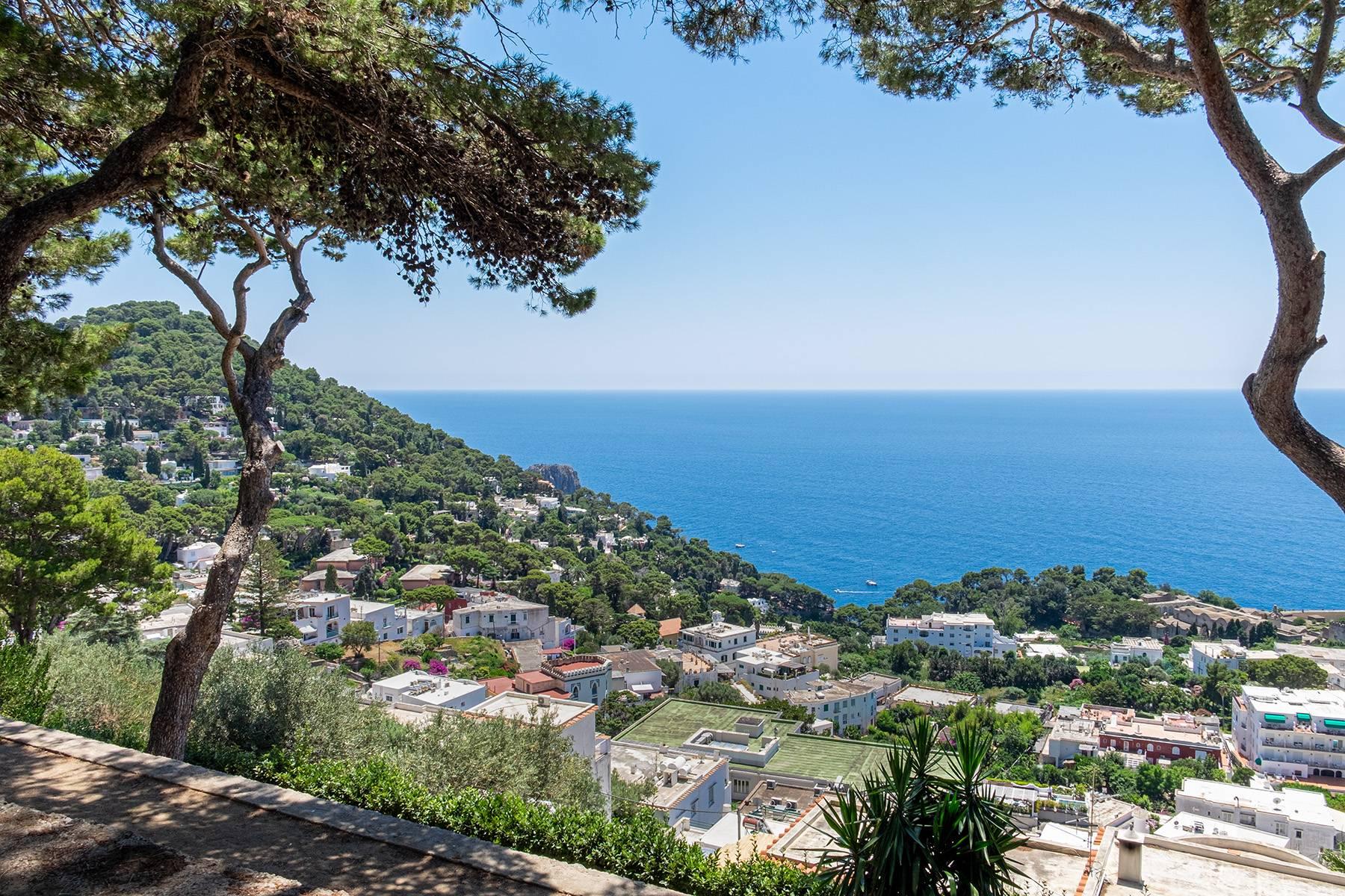 Meravigliosa villa con piscina affacciata su Capri e sul mare - 28