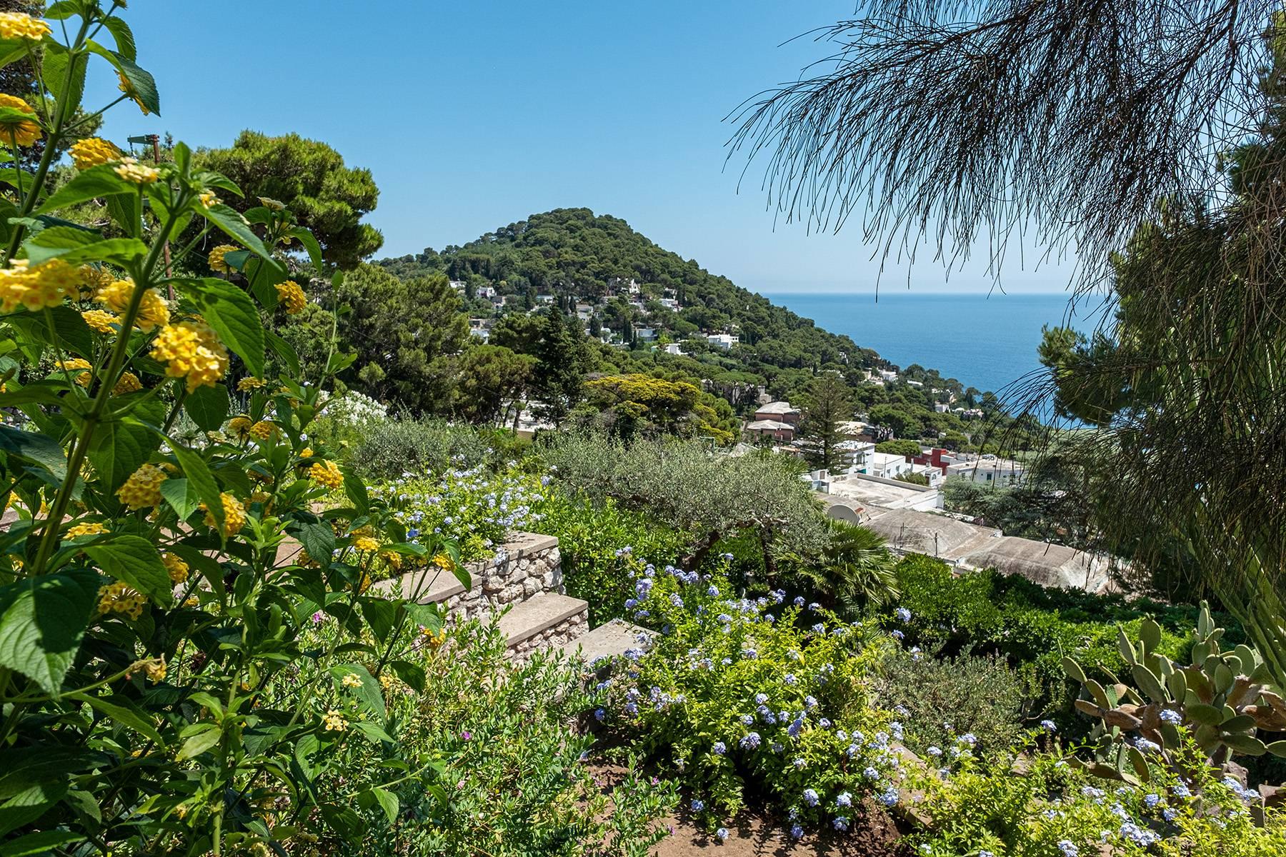 Meravigliosa villa con piscina affacciata su Capri e sul mare - 35