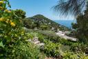 Meravigliosa villa con piscina affacciata su Capri e sul mare, in vendita, Capri | Sotheby’s Realty Italy - 35
