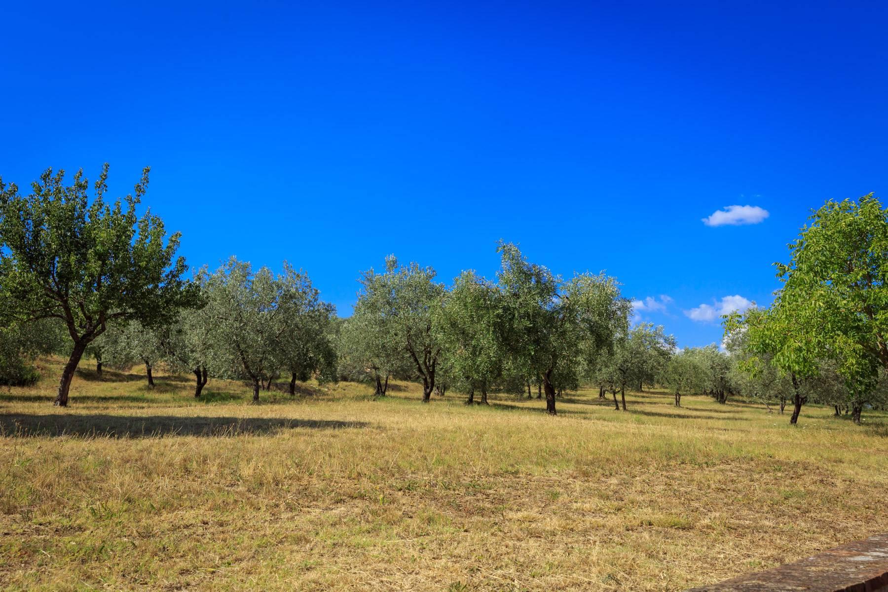 Large period villa with olive grove at 10 minutes' drive from Florence - 15