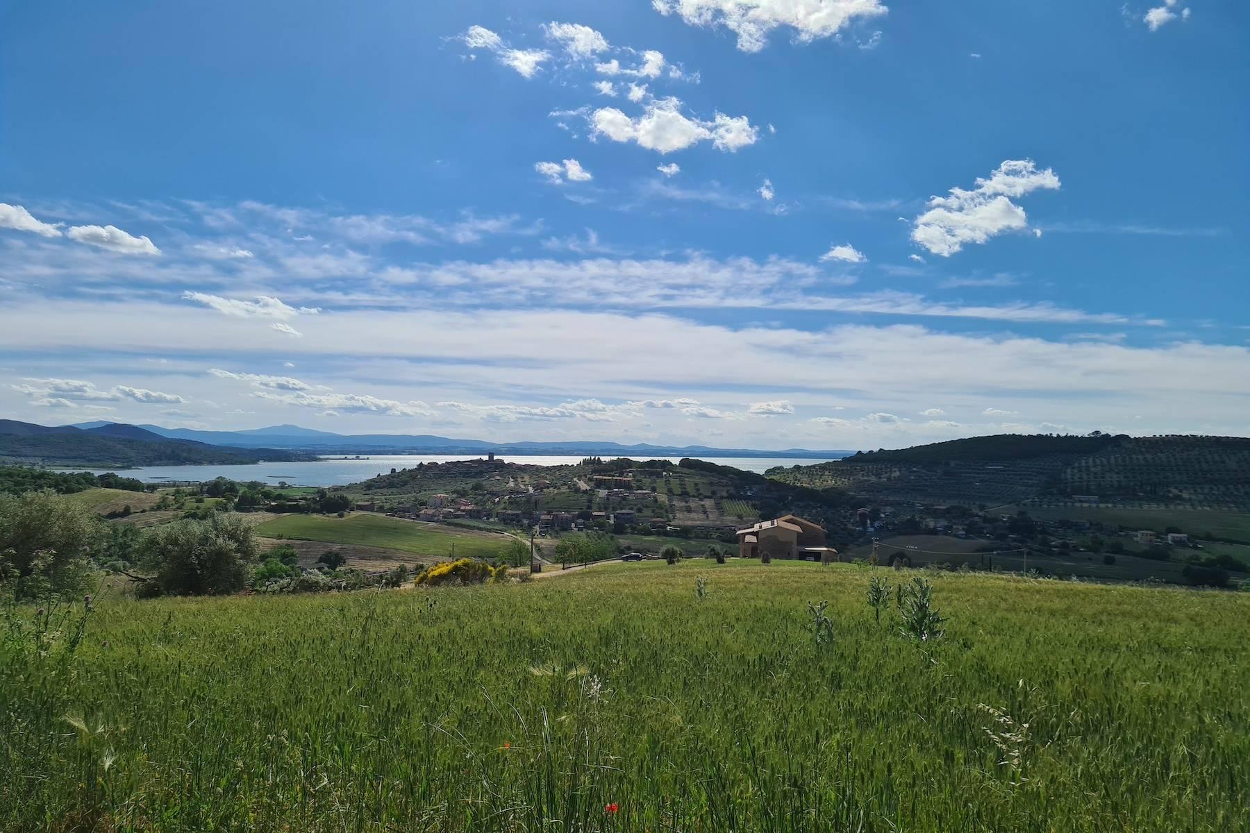 Ferme panoramique avec vue sur le lac Trasimène - 12