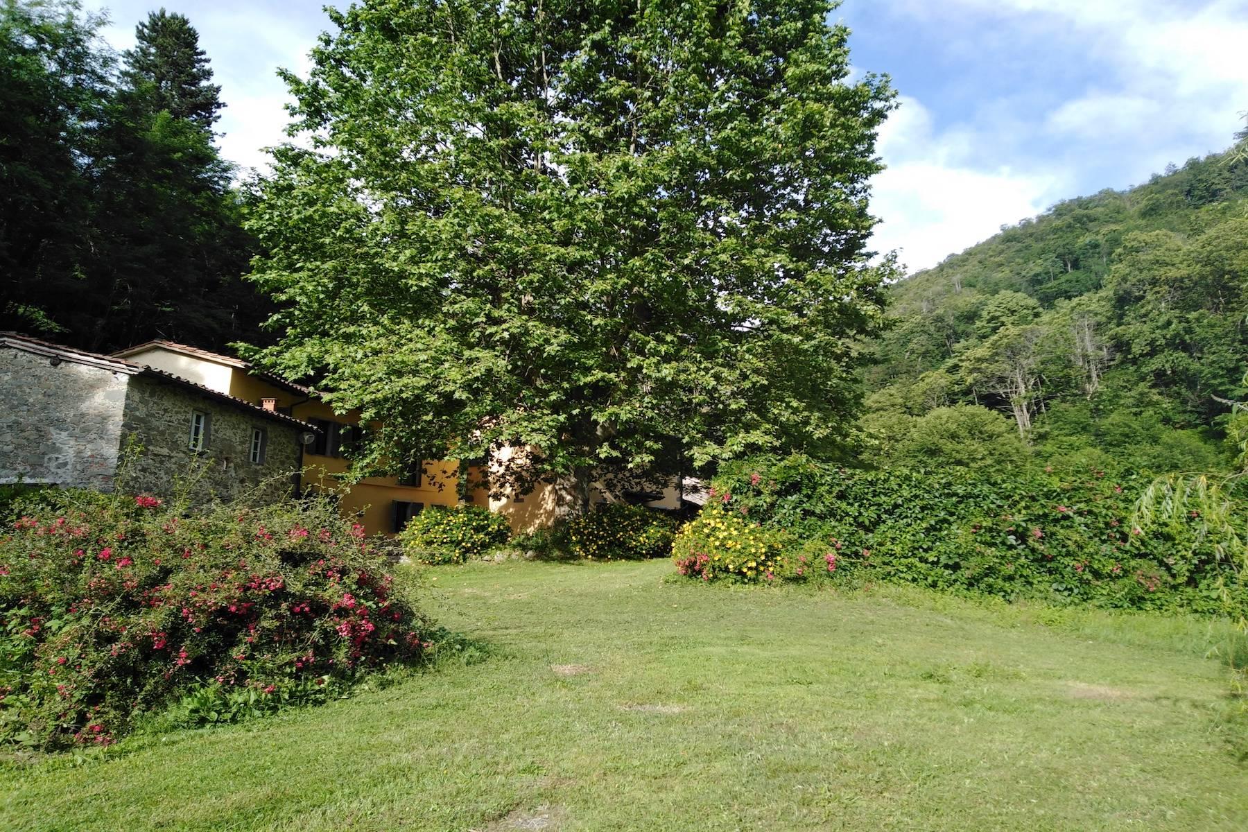 Maison de campagne enchantée sur les collines autour de Lucca - 16