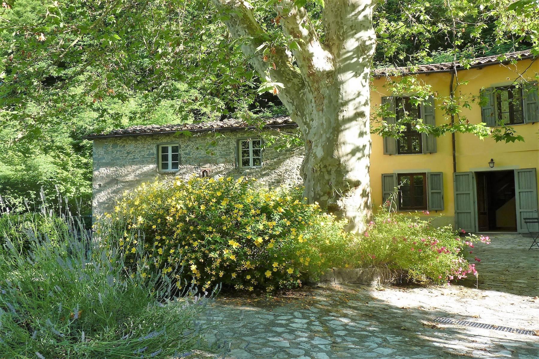 Maison de campagne enchantée sur les collines autour de Lucca - 27