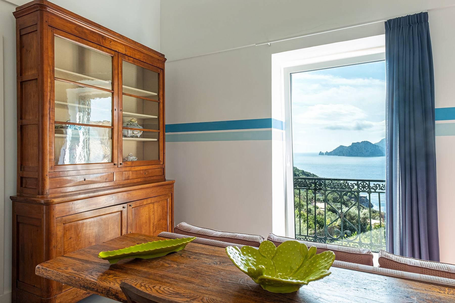 Helle Wohnung mit Garten und Terrassen im Herzen der Amalfitana Küste - 5