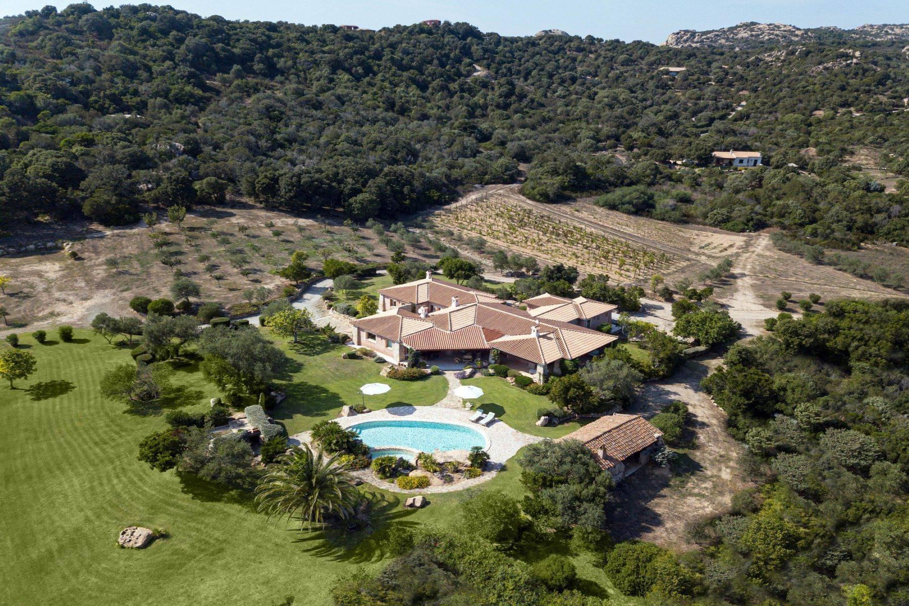 Amazing country estate of 20 hectares - 12