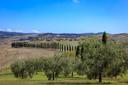 Magnifico casale toscano in vendita sulle colline Senesi, in vendita, Asciano | Sotheby’s Realty Italy - 13