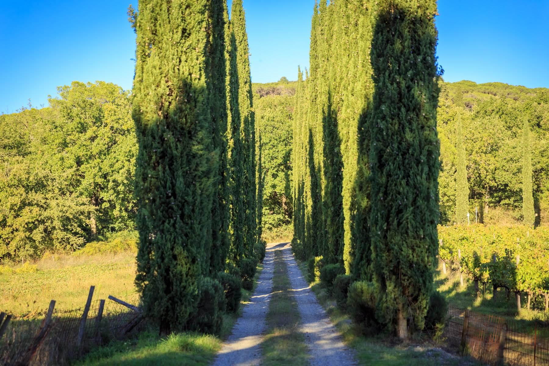 Storica villa nella campagna Toscana - 36