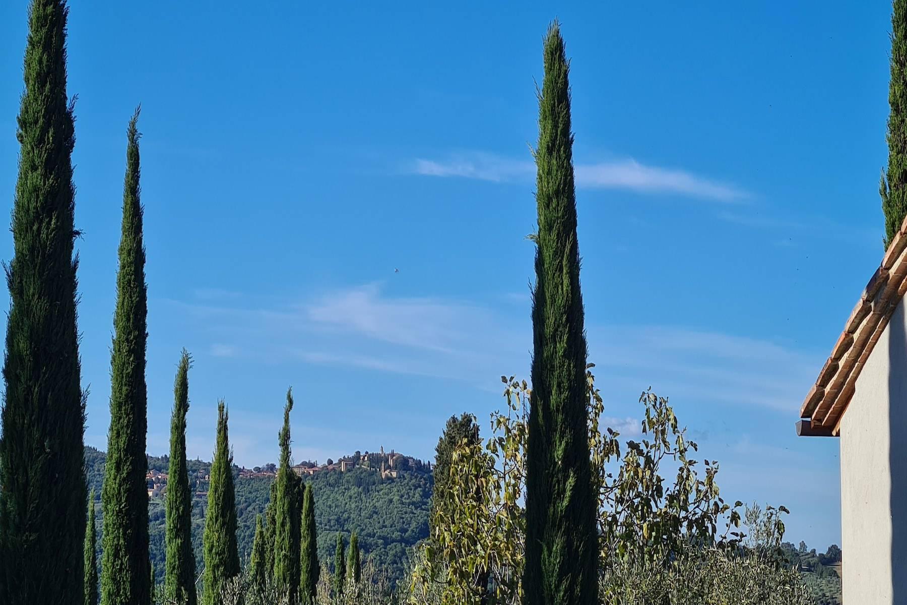 Belle maison de campagne avec agriturismo et vignoble près de Montepulciano - 31
