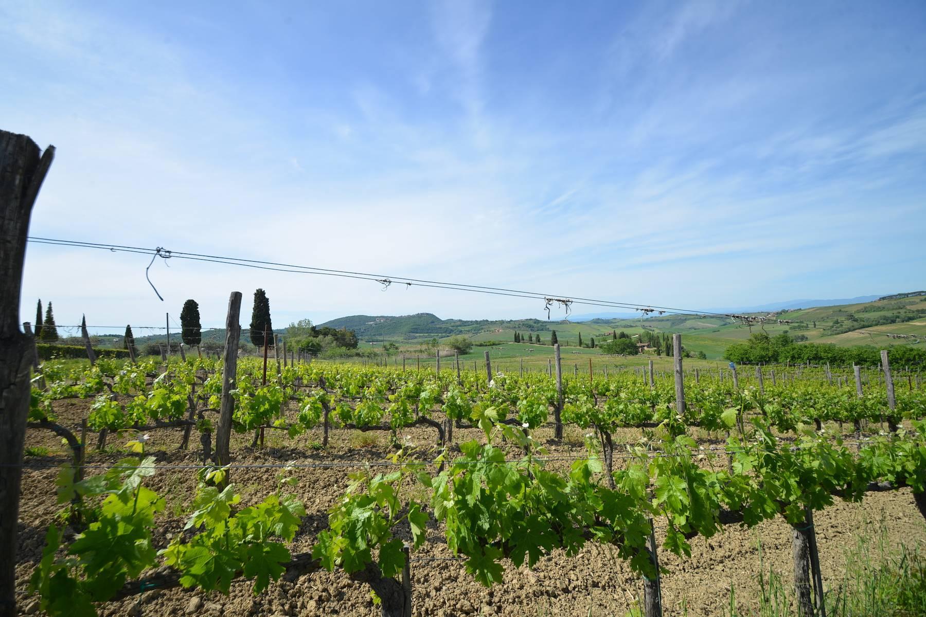 Beautiful country house with agriturismo and vineyard walking distance from Montepulciano - 30