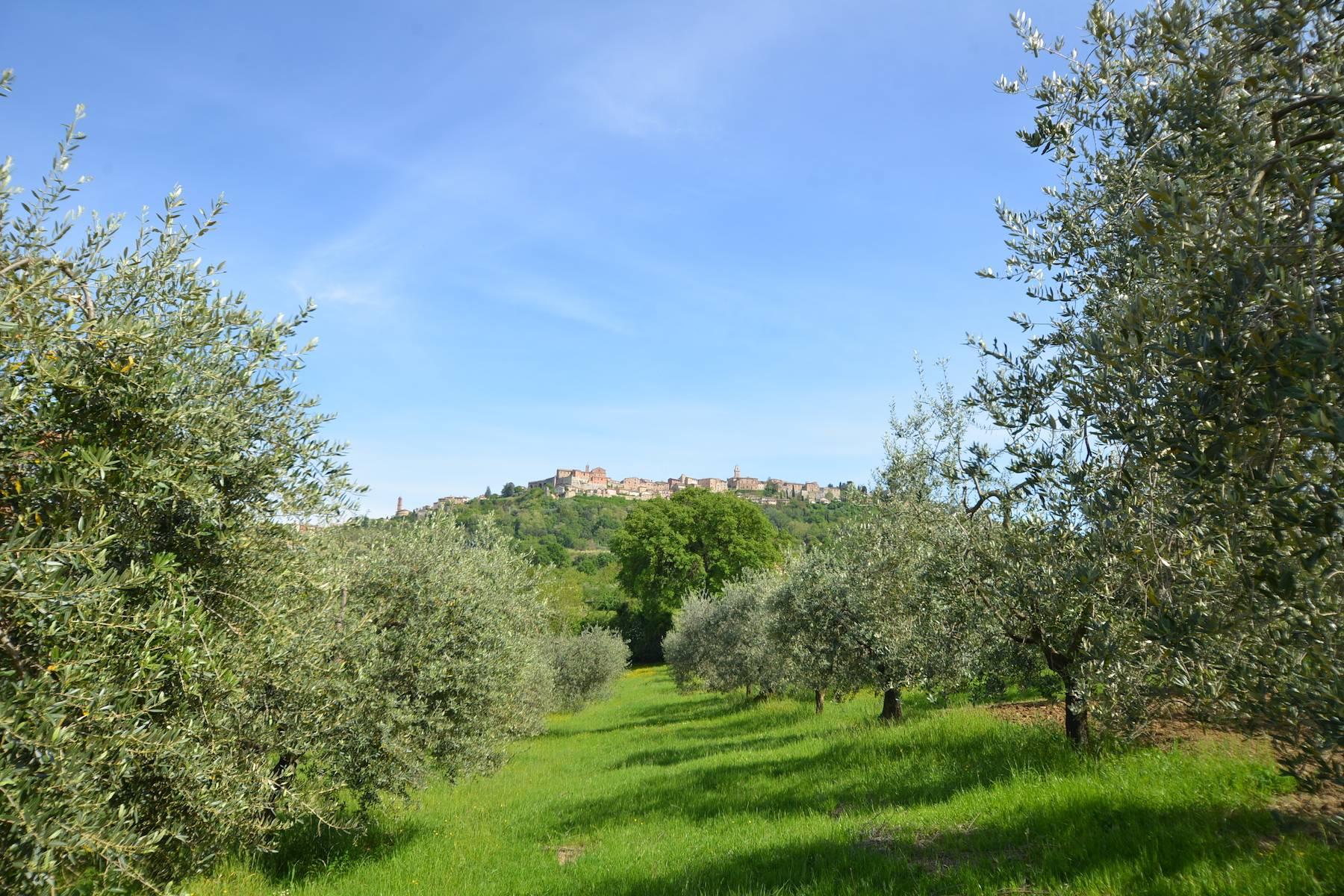 Belle maison de campagne avec agriturismo et vignoble près de Montepulciano - 16