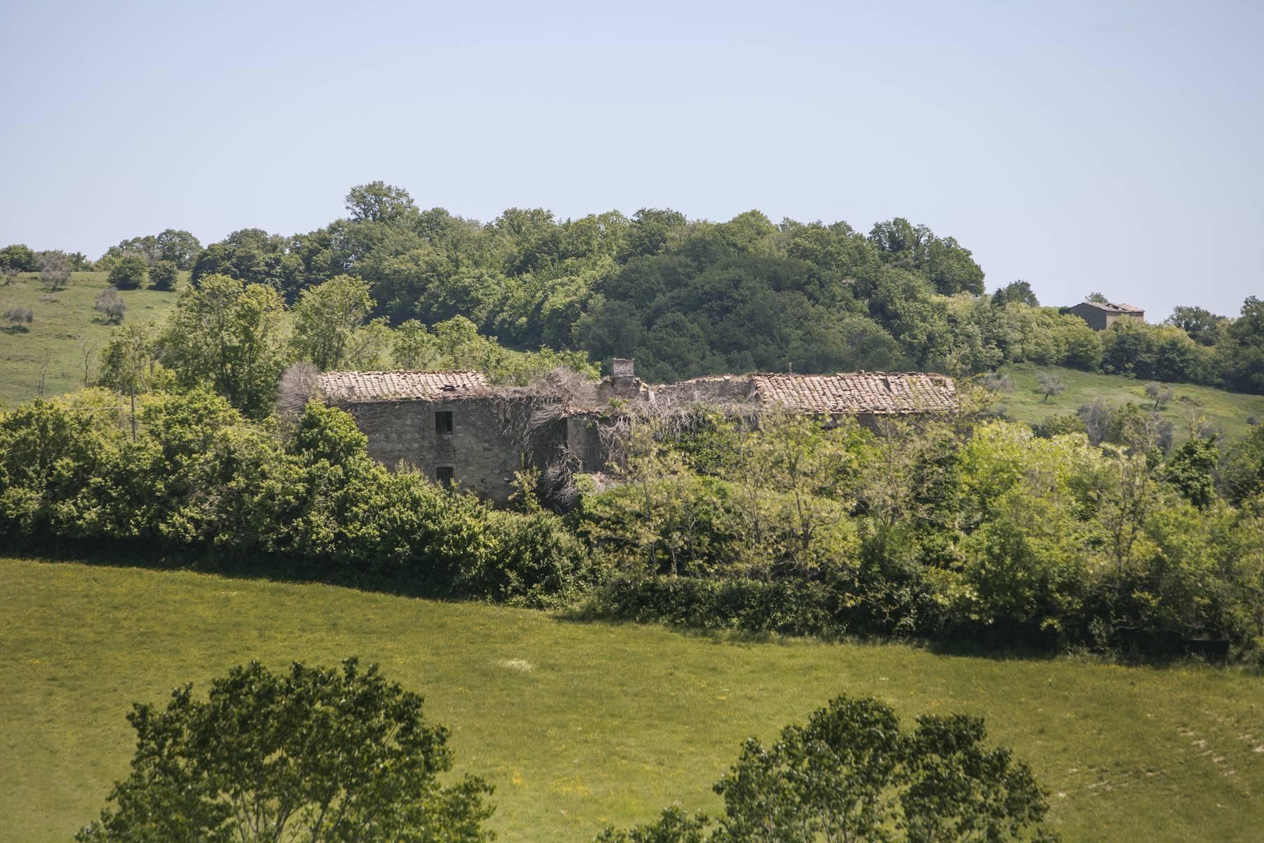 Herrliches Schloss mit Burg aus dem 12. jahrhundert auf dem Land von Siena - 10