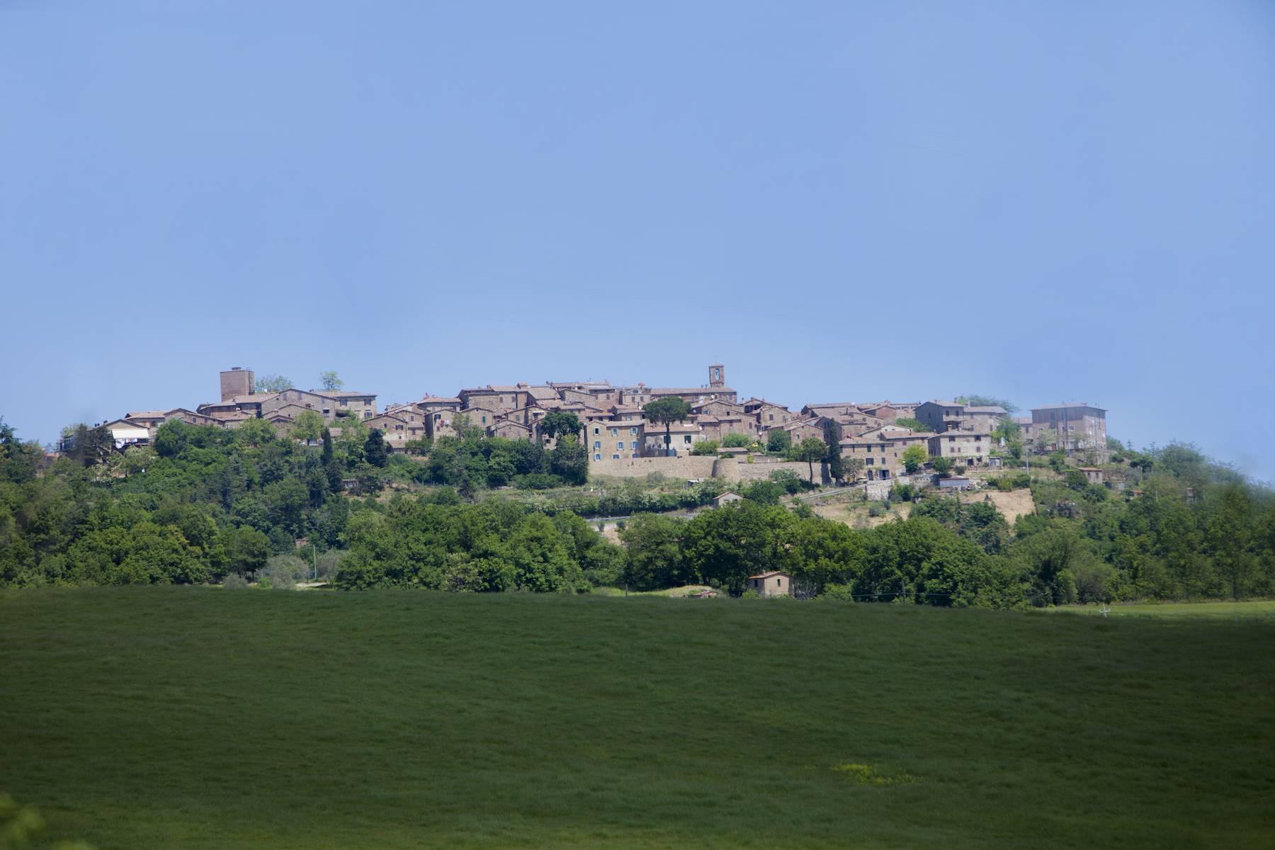 Incredible castle and hamlet  of the 12th century in the countryside of Siena - 15