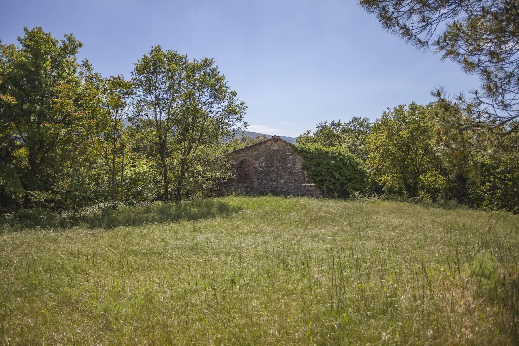 Incroyable château et hameau du 12ème siècle dans la campagne de Sienne - 12