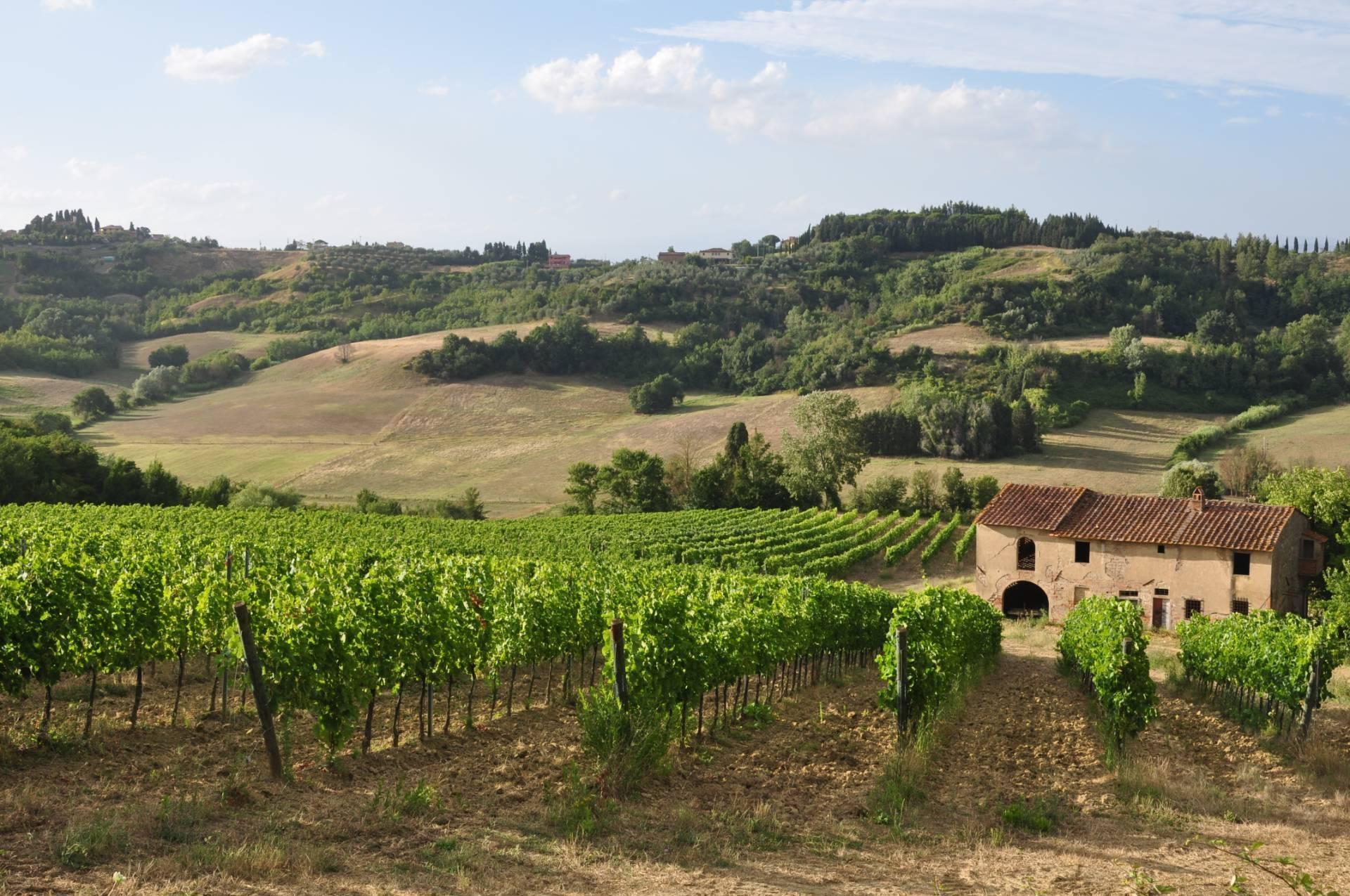 Winery with Historic Villa in San Miniato, Pisa - 21