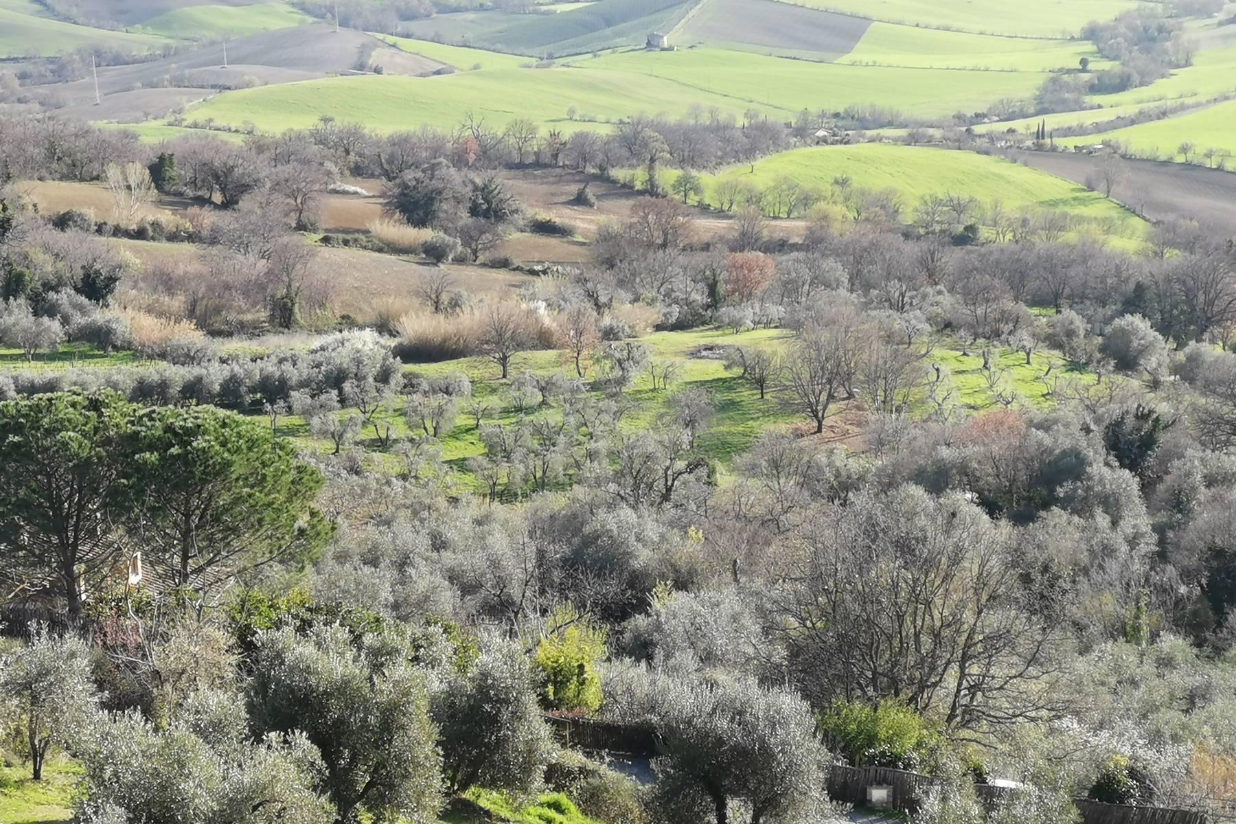 Incomparable view from the Maremma to the sea - 10