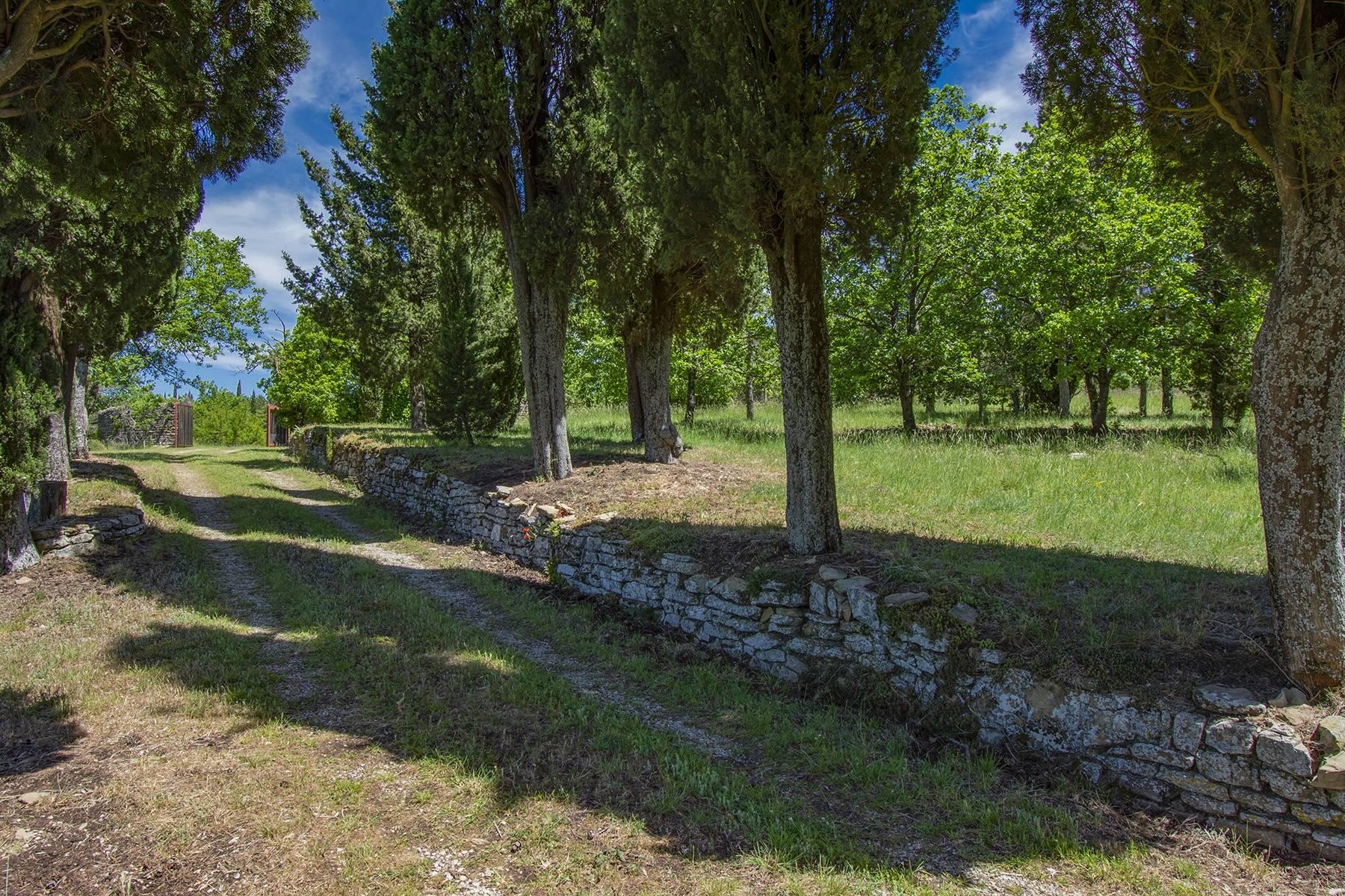 Maison de campagne toscane avec une vue imprenable sur Arezzo - 26