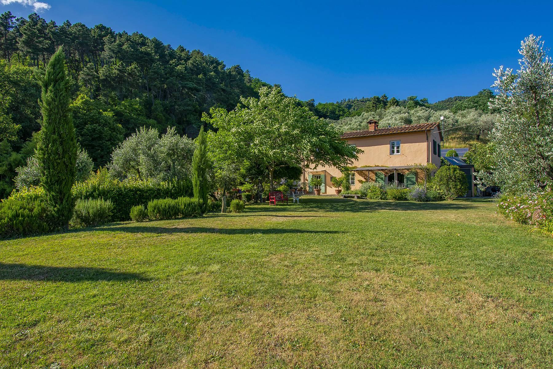 Romantisches Bauernhaus auf den Hügeln zwischen Florenz und Lucca - 4