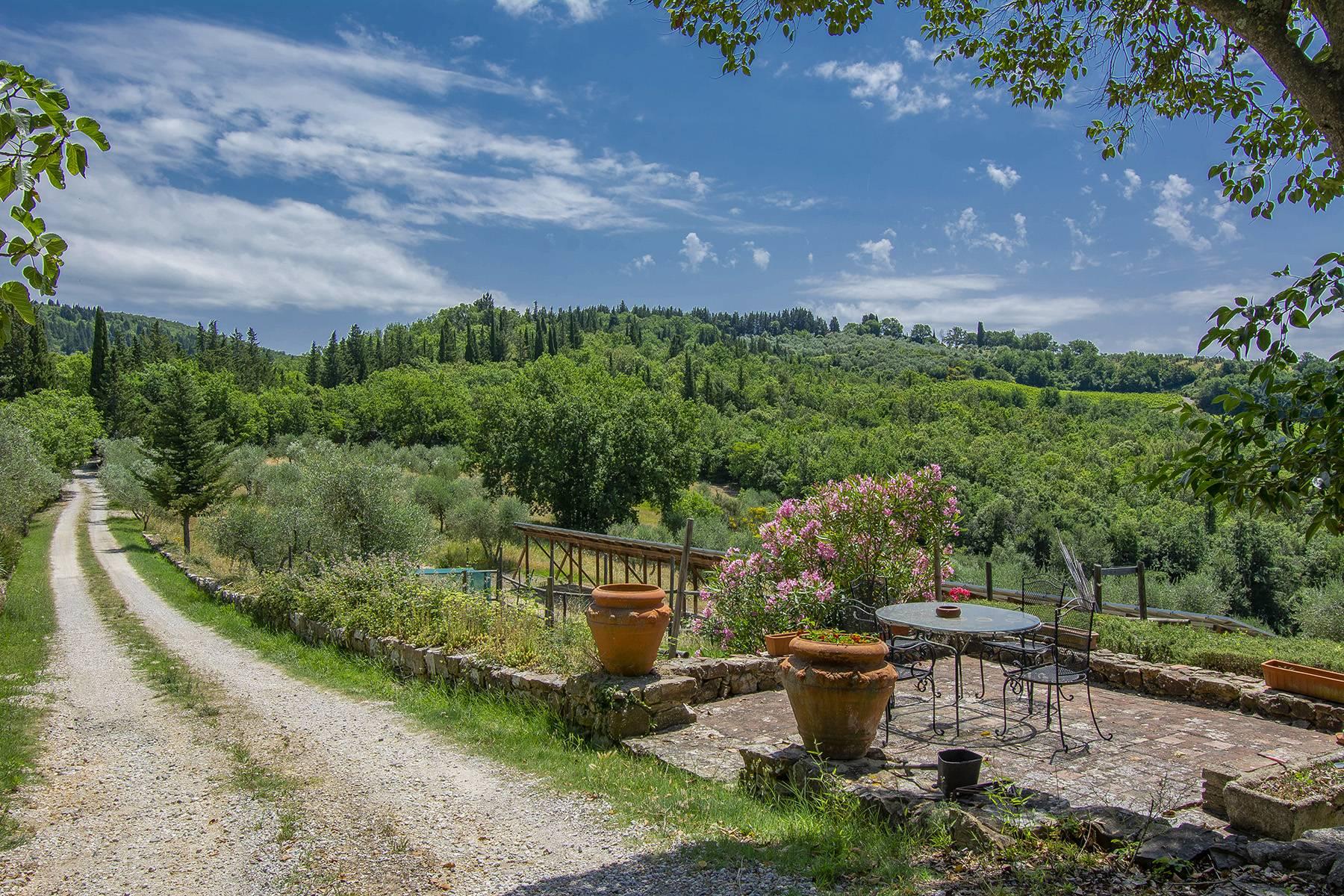 Panoramic agriturismo producing organic olive oil of Chianti - 4