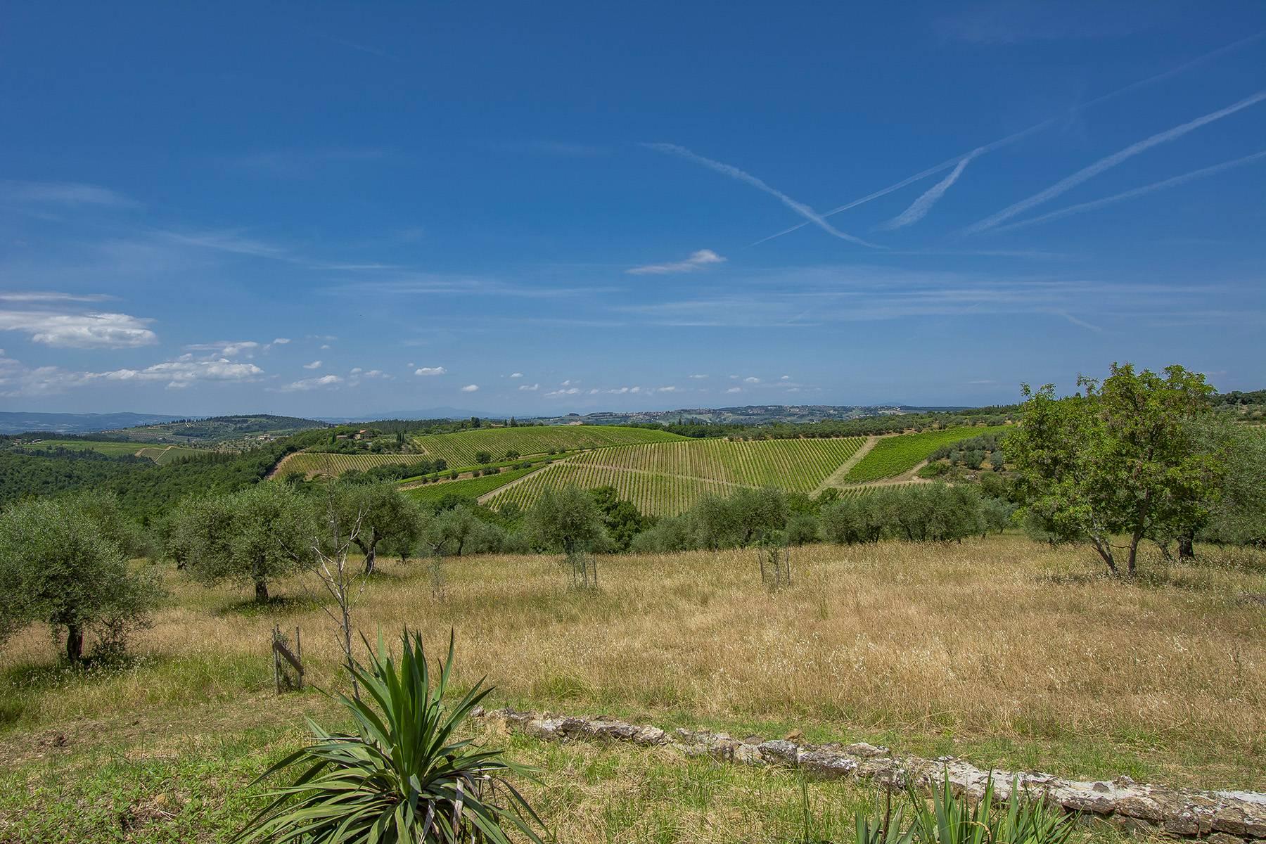 Panoramic agriturismo producing organic olive oil of Chianti - 27