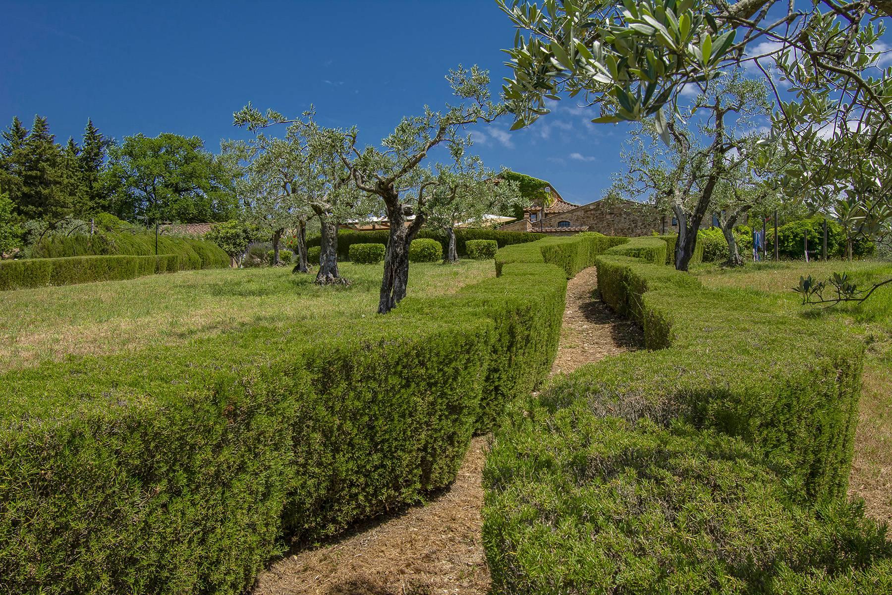 Панорамный агротуризм с производством органического оливкового масла Кьянти - 8