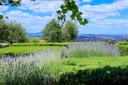 Casale di lusso con sistema geotermico a Città della Pieve, in vendita, Città della Pieve | Sotheby’s Realty Italy - 36