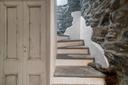 Chalet in tipico villaggio montano, in vendita, Saint-Rhémy-en-Bosses | Sotheby’s Realty Italy - 20